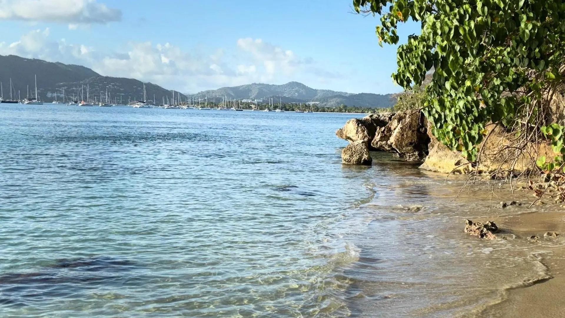 #Vacances En #Martinique Sainte-Anne Lejlighed